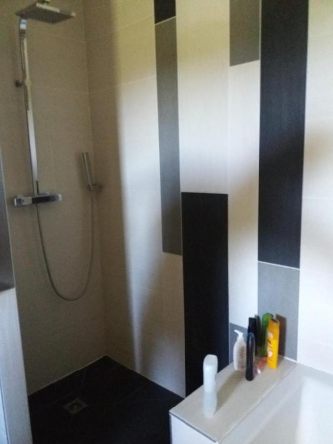 Fillinges Chambres, Cuisine, Piscine, Spa, Billards, Airhockey, Nature מראה חיצוני תמונה