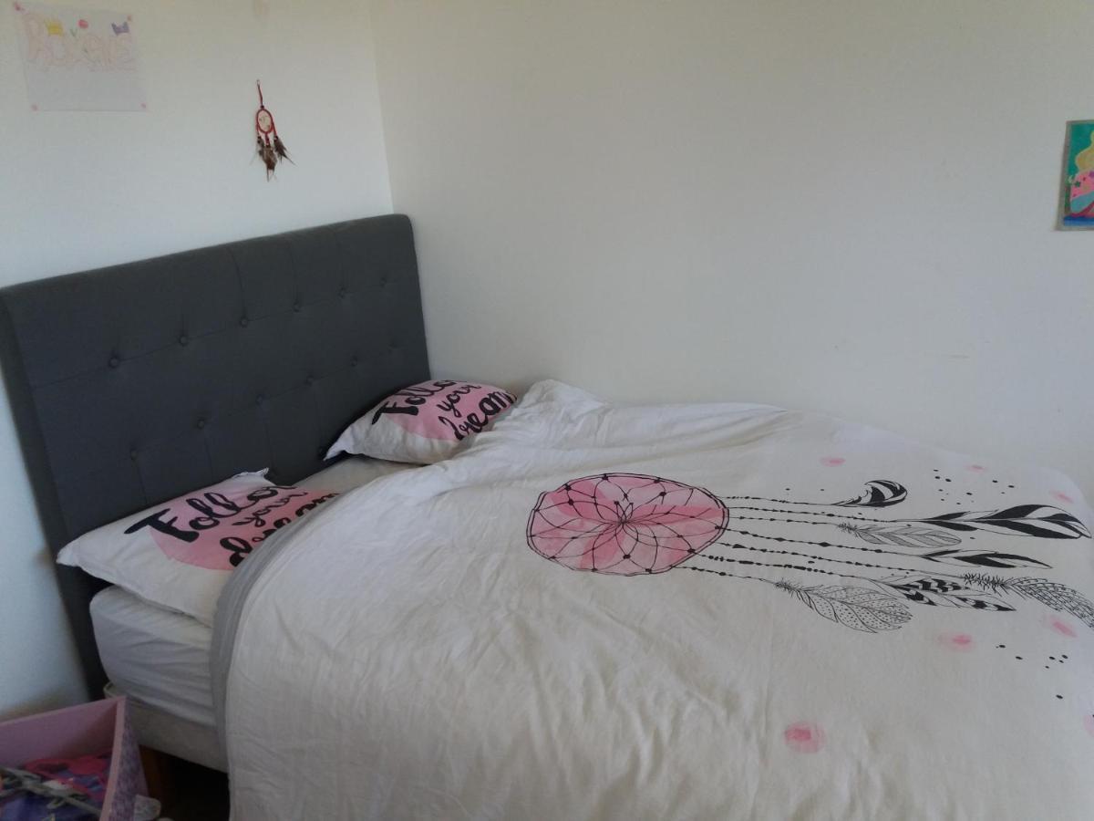 Fillinges Chambres, Cuisine, Piscine, Spa, Billards, Airhockey, Nature מראה חיצוני תמונה
